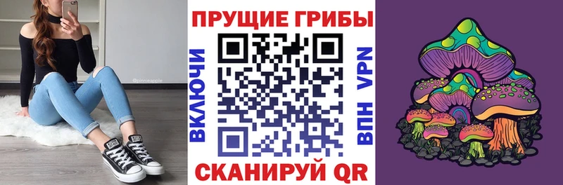 кракен ССЫЛКА  Беломорск  Галлюциногенные грибы прущие грибы 