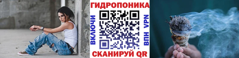 купить Беломорск Каннабис VHQ